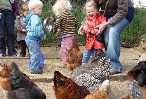 Bath City Farm - What To Do with Kids in Bath
