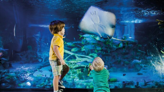 A great aquarium to visit in Helsinki with kids