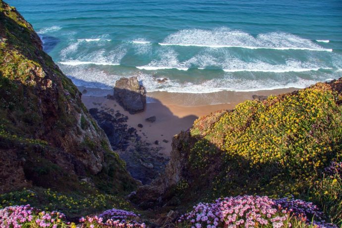 cornwall in spring
