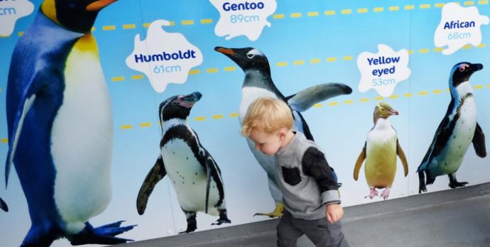 A great aquarium to visit in Bournemouth with kids