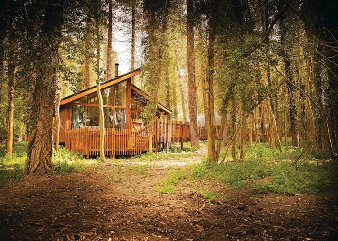 Thorpe Forest Lodges