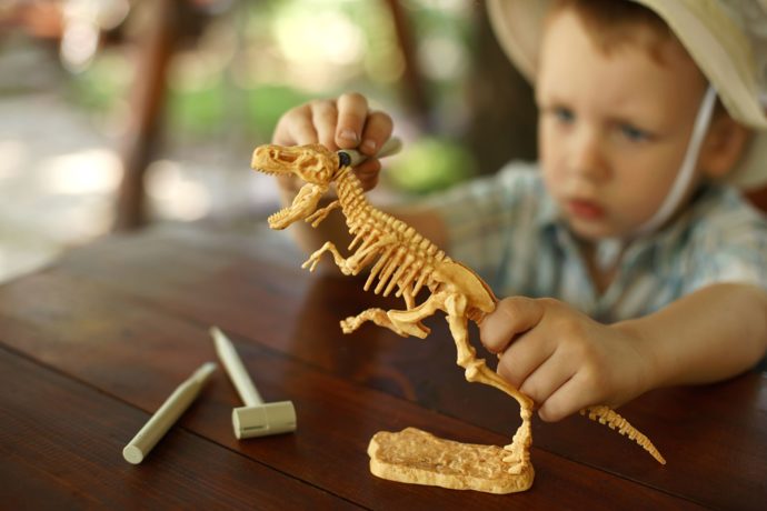 Boy playing with dinosaur