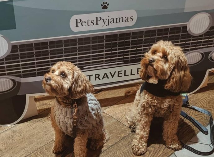 Pets Pyjamas - Holiday with a Dog and a Baby