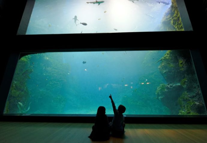 Lyon Aquarium - things to do in Lyon with Kids