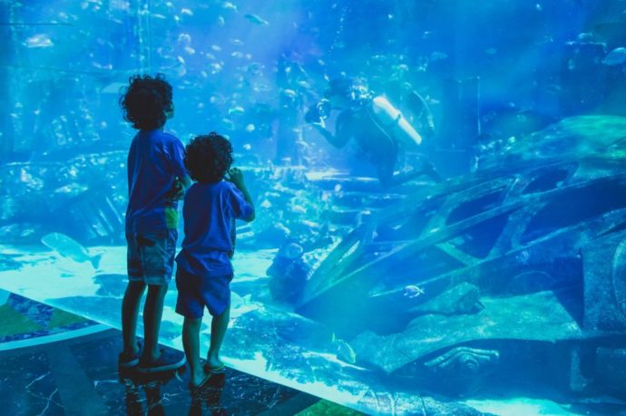 An incredible aquarium in the middle of Dubai for kids