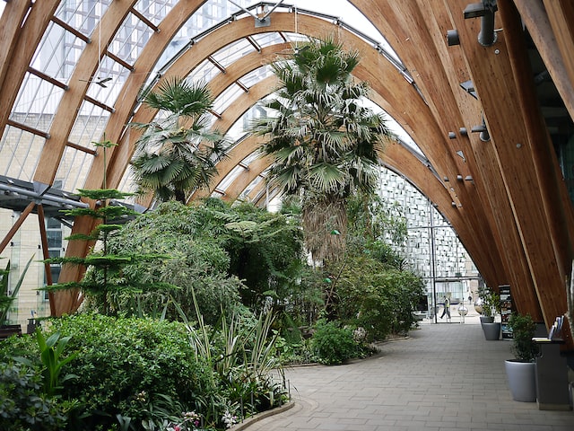 A great indoor garden to discover in Sheffield