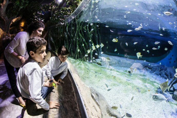 a great aquarium to visit in Seville with kids
