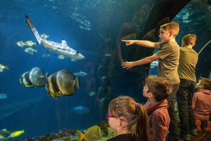A great aquarium to visit in Munich with kids