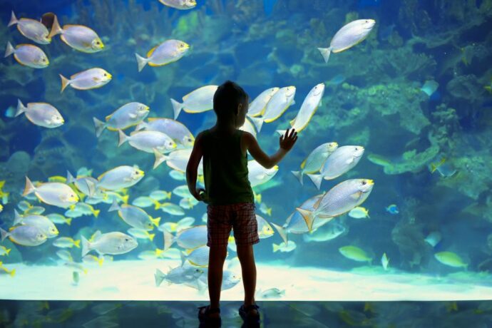 a top aquarium to visit in Monaco in Europe