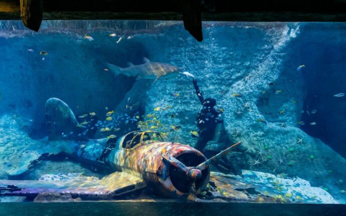 a top aquarium to explore in Abu Dhabi with kids